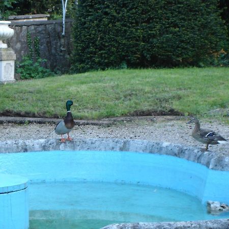 Hotel De France Montbeliard Bagian luar foto